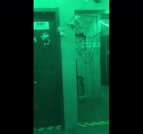 Halloween-themed haunted toilet shocks visitors in Qingdao, Shandong, China