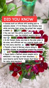 59K views · 356 reactions | Alien-Level World Facts  #worldfacts #mindblowing #didyouknow | Basic Math | Facebook