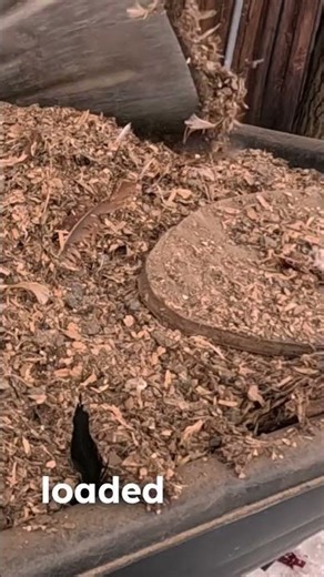 Day 1 of Making This Hobby Farm Profitable at 17 🌱