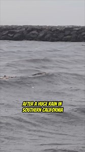 After the Rain in Southern California! Your Saltwater Guide is Sponsored by Reel Quick Fishing. | Your Saltwater Guide