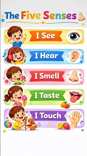 The Five Senses for Kids | Learn Sight, Hearing, Smell, Taste & Touch 👀👂👃👅✋