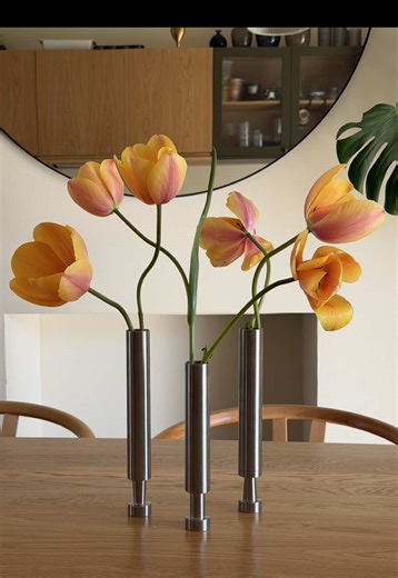 Tulip Season: The Joy of Early Blooms