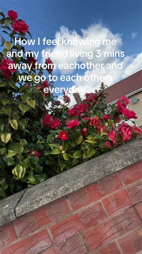 hannah.x (@hannah.x488)’s videos with original sound - hannah.x