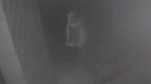 Thug licked victim’s blood after brutal baseball bat attack