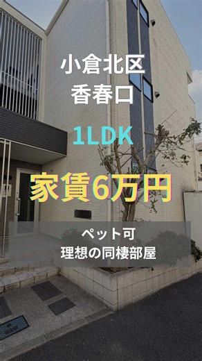 北九州市小倉北区⾹春⼝ 北九州モノレール ⾹春⼝三萩野駅 徒歩2分 1LDK／35.05㎡ 木造アパート 3階建て1階部分 2018年1月築 ペット可 事務所使用可 【設備】 エアコン 洗髪洗面化粧台 室内洗濯機置場 オートロック モニタ付インターホン 宅配ボックス ※プロパンガス 【賃料条件】 家賃：60,000円 共益費：5,000円 駐車場：なし 敷金：ゼロ 礼金：ゼロ 気になったらコメントかDM 詳細・内見予約は プロフィールの公式LINEから #北九州賃貸 #北九州不動産 #小倉北区賃貸 #ルームツアー #おすすめ