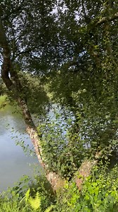 POV, you've come on holiday to Meadow Lakes and stepped out your accommodation for a beautiful stroll around our stunning lakes... 😍 Don't forget, you can grab up to 30% OFF your stay right now, with school summer hols dates included! Give us a call or book online today 🙌 #meadowlakesholidaypark #nature #lakes #fishing #countryside #cornwall #holidaypark #summer #summerholiday #naturewalk #relax #sunny #cornwallholiday #familyholiday | Meadow Lakes Holiday Park