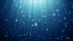 Particles Snow Snowflake Winter Christmas Stock Motion Graphics SBV-318502457 - Storyblocks