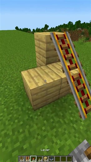 Minecraft Minecart Secret! #minecraft #shorts