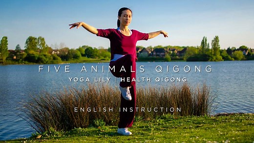 Five Animals Qigong with English Instruction - YOGALILY STUDIO | Yoga PIlates Taichi | Yoga Tai Chi Qigong Wellness