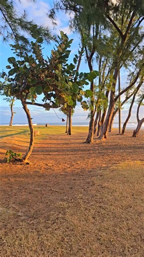 En direct ☀️ à 18h il fait nuit à La Réunion 🇷🇪 alors que nous sommes dans les journées les plus courtes, il fait nuit tard dans l'hexagone 🙃 Belle soirée 💥 | Guide Réunion