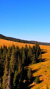 Munții apuseni… un tărâm de povești. 🌲 Acolo unde timpul curge încet și liniștea vorbește. ❤️ #apuseni #apuseniiSălbatici #natură #munți #românia #tărâmdepovești #liniște #mountainlife #reelsromania | APUSENII SĂLBATICI