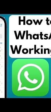 How to Fix WhatsApp Not Working On iPhone After iOS 16 Update