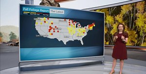 15K views · 112 reactions | Show of hands, who's been going on their hot girl walks? ✋ Another great week here at TWC!  | The Weather Channel | Facebook