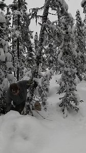 Building a Bushcraft Hot Tent in Alaska #outdoorsurvival #camping #bushcraftadventure #outdoorsy | 푹풆풔풕풐풓풂풕풊풐풏 퐓퐢퐩퐬 | Facebook