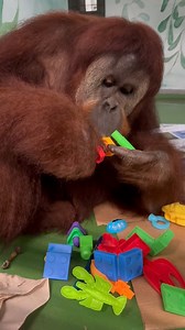 15K views · 1.1K reactions | Kiki the Problem Solver At the Center...