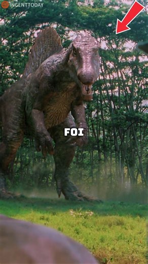 Por que o Ativo 87 foi criado?