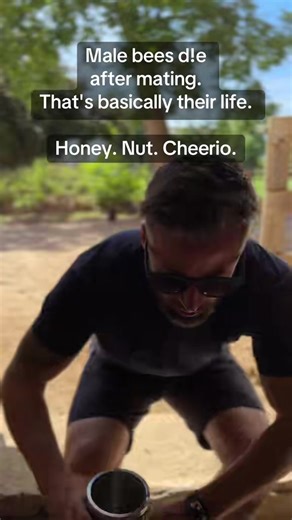 Top 10 Hilarious Quotes for Every Occasion