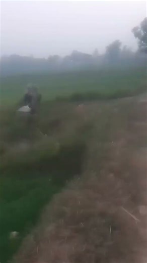 garbled audio—didn’t catch details. Could you type out what you need for the YouTube upload? Like