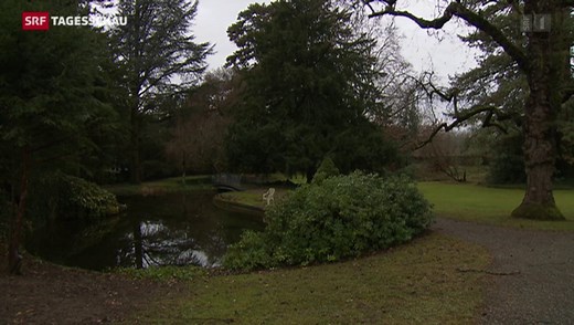 Die Fondation Beyeler baut aus mit privatem Geld