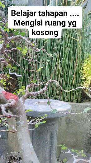 Belajar tahapan . Mngisi bagian yang kosong. #inspirasi | Pradana Dana