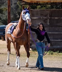 Que les parece esta chulada de ejemplar medio Hermano del Rey Payaso En las files de cuadra Sierra brava | Cuadra Hermanos Calvillo