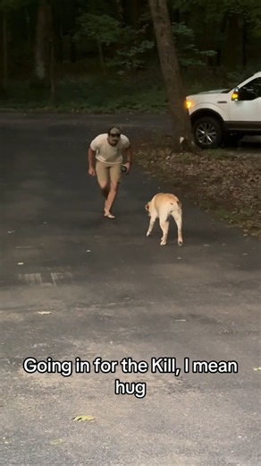 Cant stop wont stop: #dog #dogs #puppy #doglover #dogshort #dogfunny@sage_the_labrador