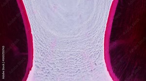 Exploring vibrant microscopic textures in a detailed close-up view of biological structures and their unique patterns Stock Video