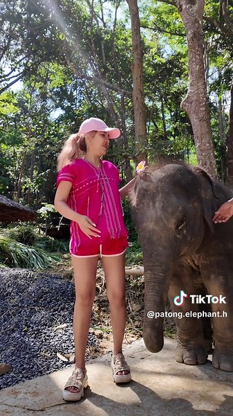 La historia de HUGGY: Un viaje dulce en Phuket