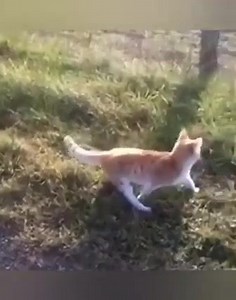 15K views · 319 reactions | Es momento de volar con buena música. | Fortuny TV | Facebook