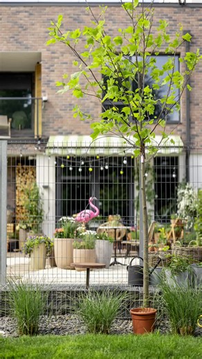 Transforma tu pequeño jardín delantero en un oasis