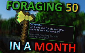 [Hypixel Skyblock]如何一个月达到Foraging 50的？！