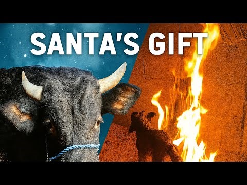 Miracle Birth in the Heart of Winter