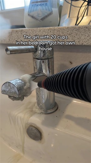 Free Steamer Gift & 60% Off Cleaning Hacks