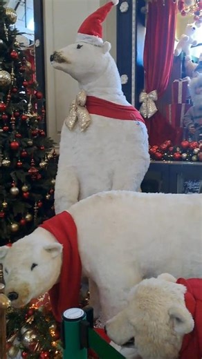 Dublin GPO Christmas Vibes 🎄 Sparkling Festive Moments!#shorts #viralshort #dublin