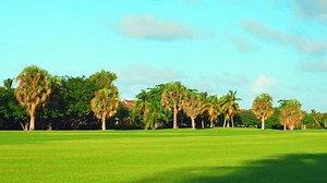 Golf Course Landscape Green Lawn Beautiful Stock Footage Video (100% Royalty-free) 3437045053 | Shutterstock
