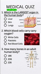 Quick Medical Trivia: Can you get 3/3? #medical #trivia #quizgame