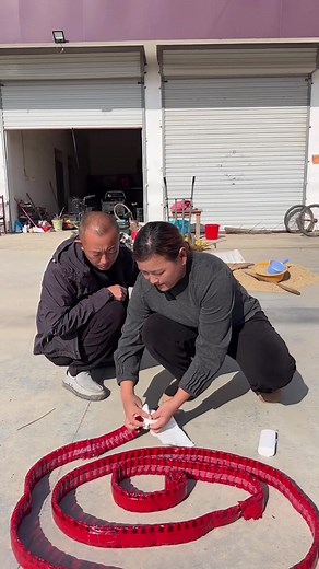 162K views · 359 reactions | Fast Growth Program Film and Television Portrays Future Stars | Gy Dy | Facebook