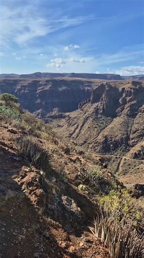 Exploring Amazon's Innovative Product Packages