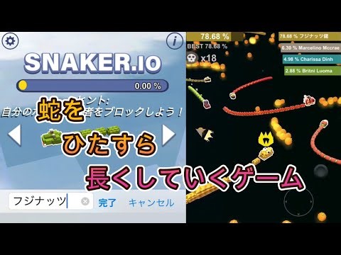 【SNAKER.io】マップ上の餌を食べて蛇をどんどん長くしていくゲームやりこんでみた！【フジナッツ健】