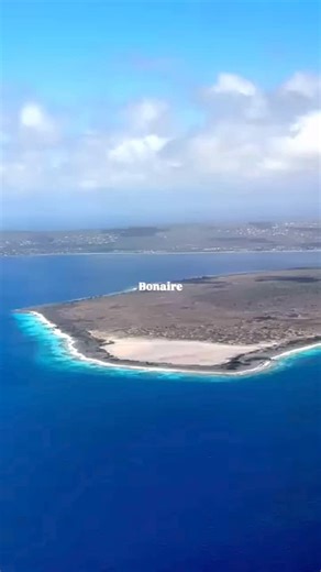 Bonaire is pure magic. Think vibrant reefs, quiet beaches, and nature that still feels untouched. Perfect for divers, explorers, or anyone who wants a real escape. Adventure is calling and Bonaire is ready! Reels Credit: @buddydiveresort ☀️😎 #BonairePros | Bonaire Pros