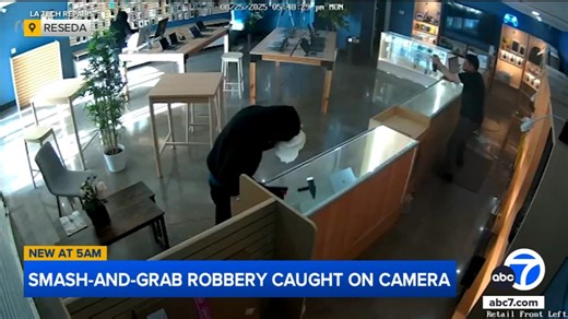 Smash-and-grab suspect, Reseda store owner fire pepper spray at each other during flash mob robbery