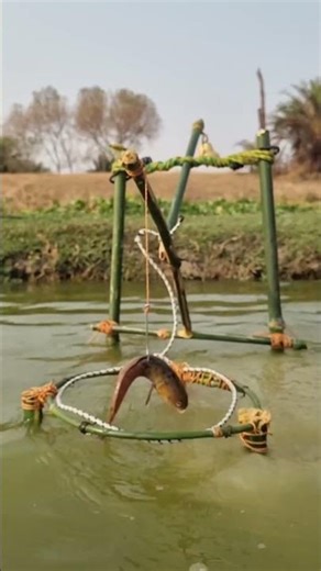 Making a Fish Trap Using Bamboo, Hooks For Hunting Big Fish #fishing #hookfishing