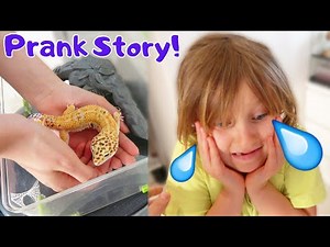 PRANK • NOTRE GECKO A FUGUÉ !