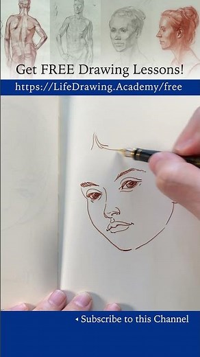 How to draw a face in the three quarters view: https://lifedrawing.academy/free