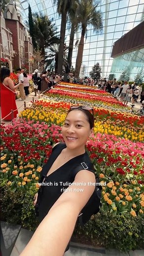 5 Best things to do in Singapore! 🇸🇬