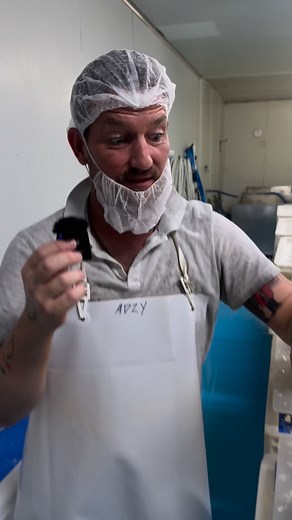 Cheducation time! #cheese #cheesemaking #flip #turn #process #brine #flavour #perfect #dairy #sunshinecoast #smallbusiness #handmade #team #cheducation | Woombye Cheese Company