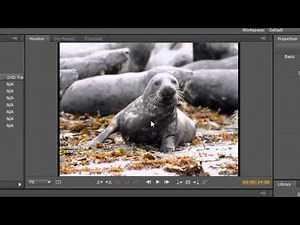 Adobe Encore Basics 7: Creating Slide-shows Part 1