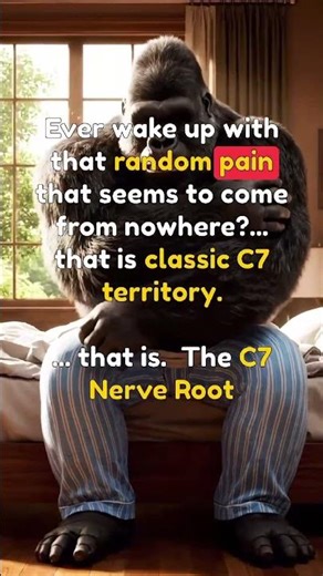 What Is the Dermatome? Quick Breakdown in Comments #valentinetraining #AtlasEdition