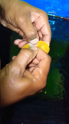 How to Clean Chicken Gizzard Easily | Quick & Simple Method 🔪🍗 #shorts"