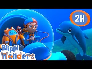 Blippi Learns About Dolphins | Blippi Wonders | Preschool Learning | Moonbug Tiny TV
